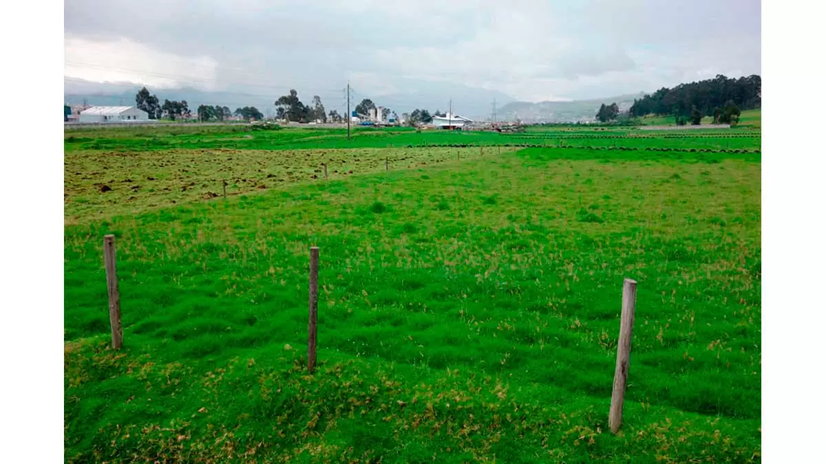 terreno en el parque industrial turubamba