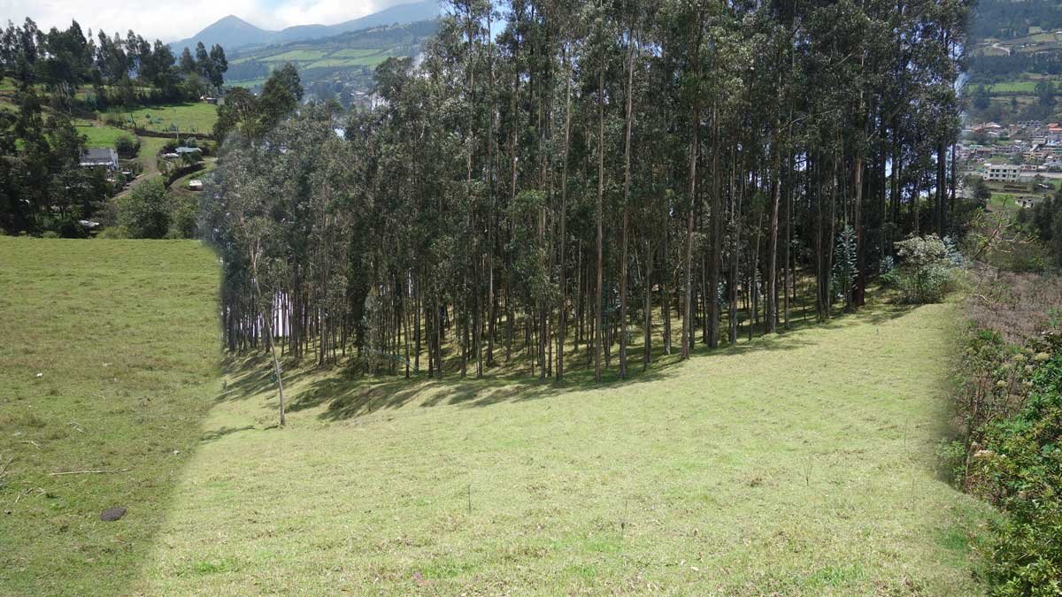 terreno de venta en amaguaña