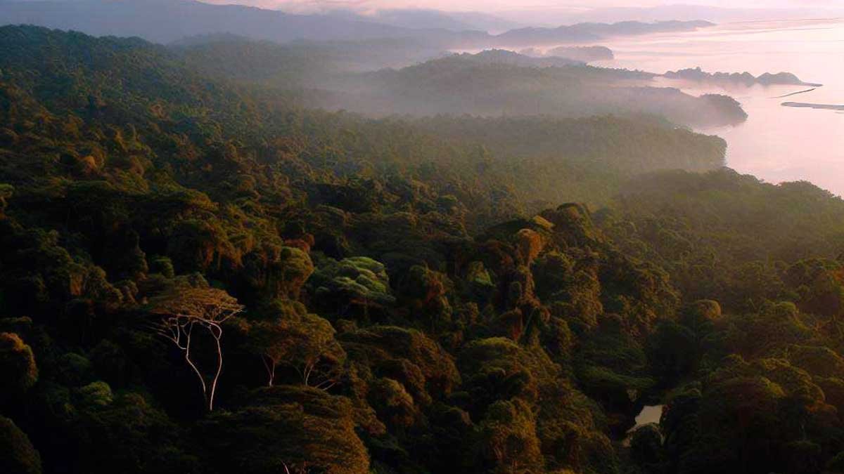 bosque chocó biogeográfico