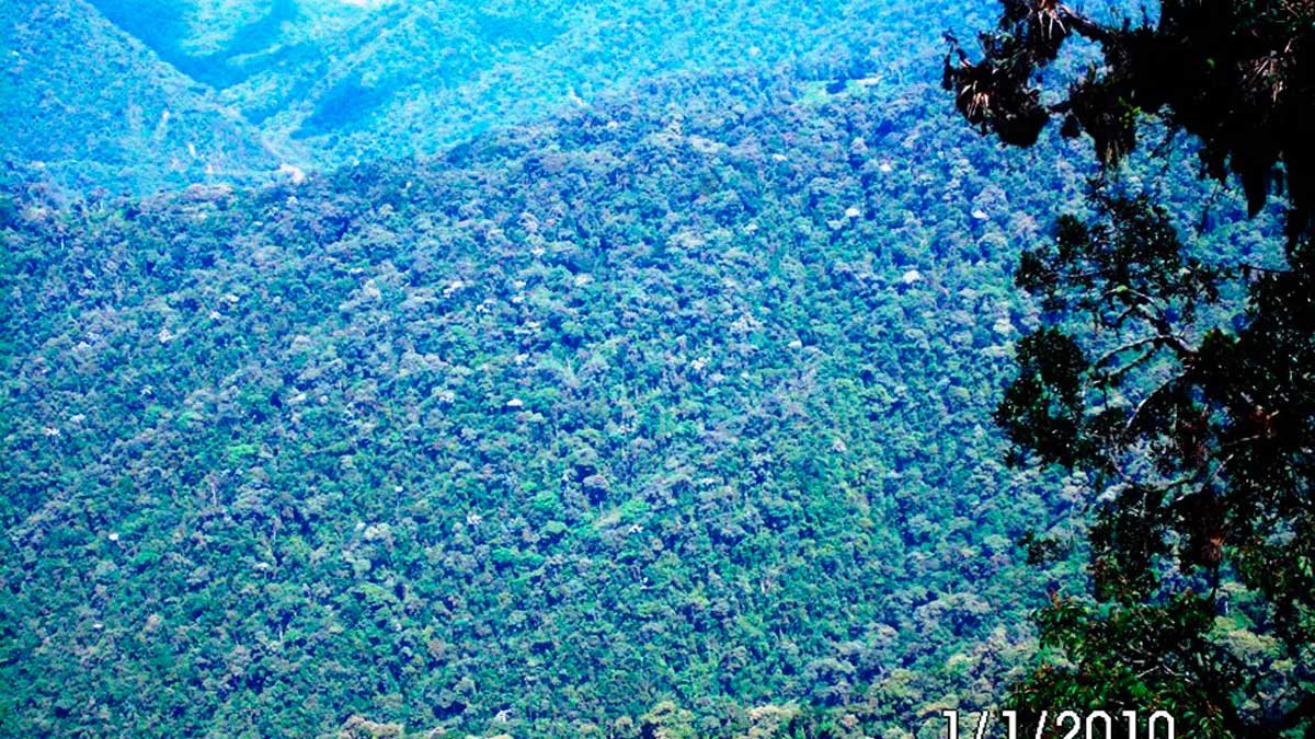 Reserva ecológica Cotacachi-Cayapas